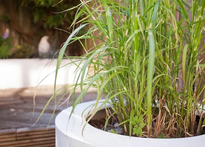 Walking Distance To Racecourse And Centre